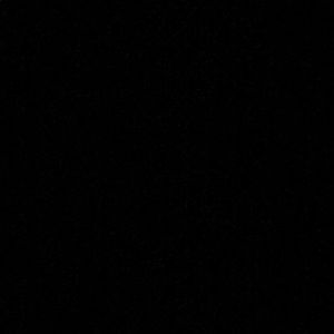 Meet your Posher, Bryce